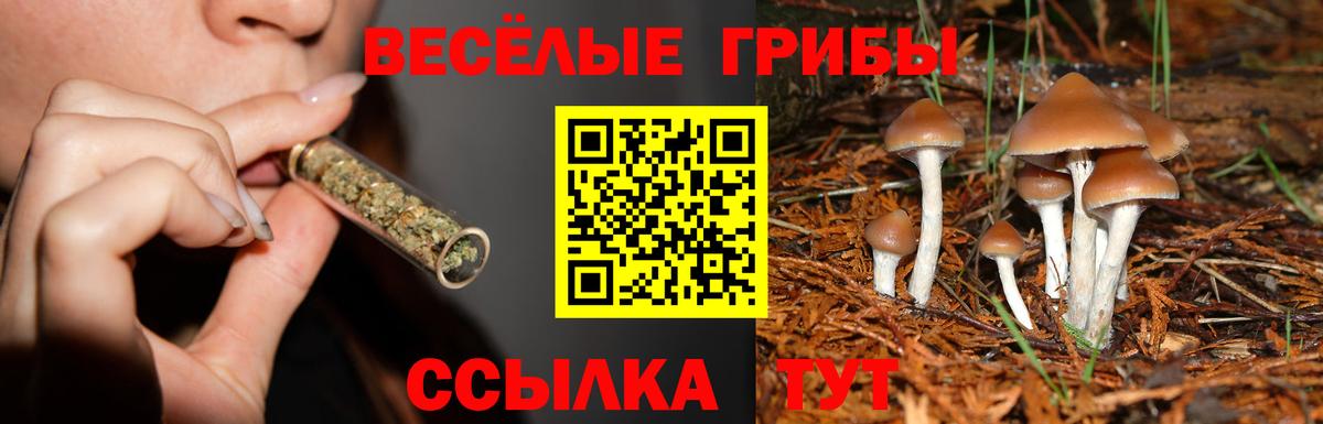 Галлюциногенные грибы мухоморы Обь